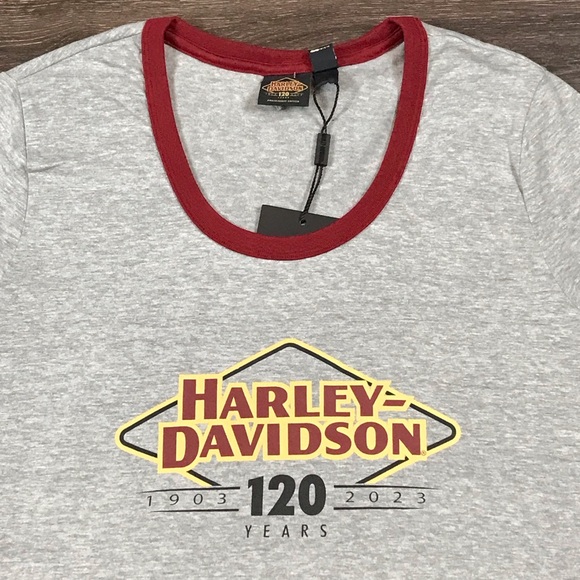 Harley-Davidson 120th Anniversary Women’s Gray Round Neck Biker T-Shirt Size L - Picture 4 of 8